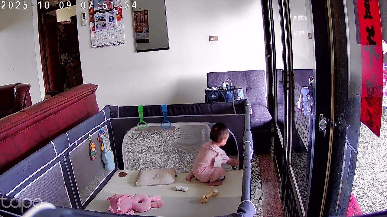 周小樂手腳很快的被關進圍欄後，發現有洞可以鑽出來，媽咪轉個身立馬走到媽咪面前嚇得媽咪一跳😆😆😆