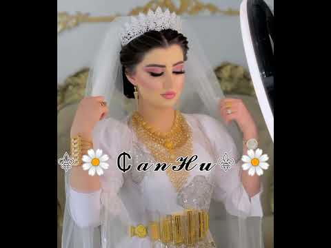 Новая Цыганская Песня Слава Новиков Ай ромэ ромэ ай ромалэ ромалэ 2024 г