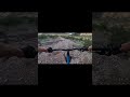 MTB North Phoenix! Trail 101 on Hardtail! #fast #pov #mountainbike #mountainbiking #phoenix #arizona