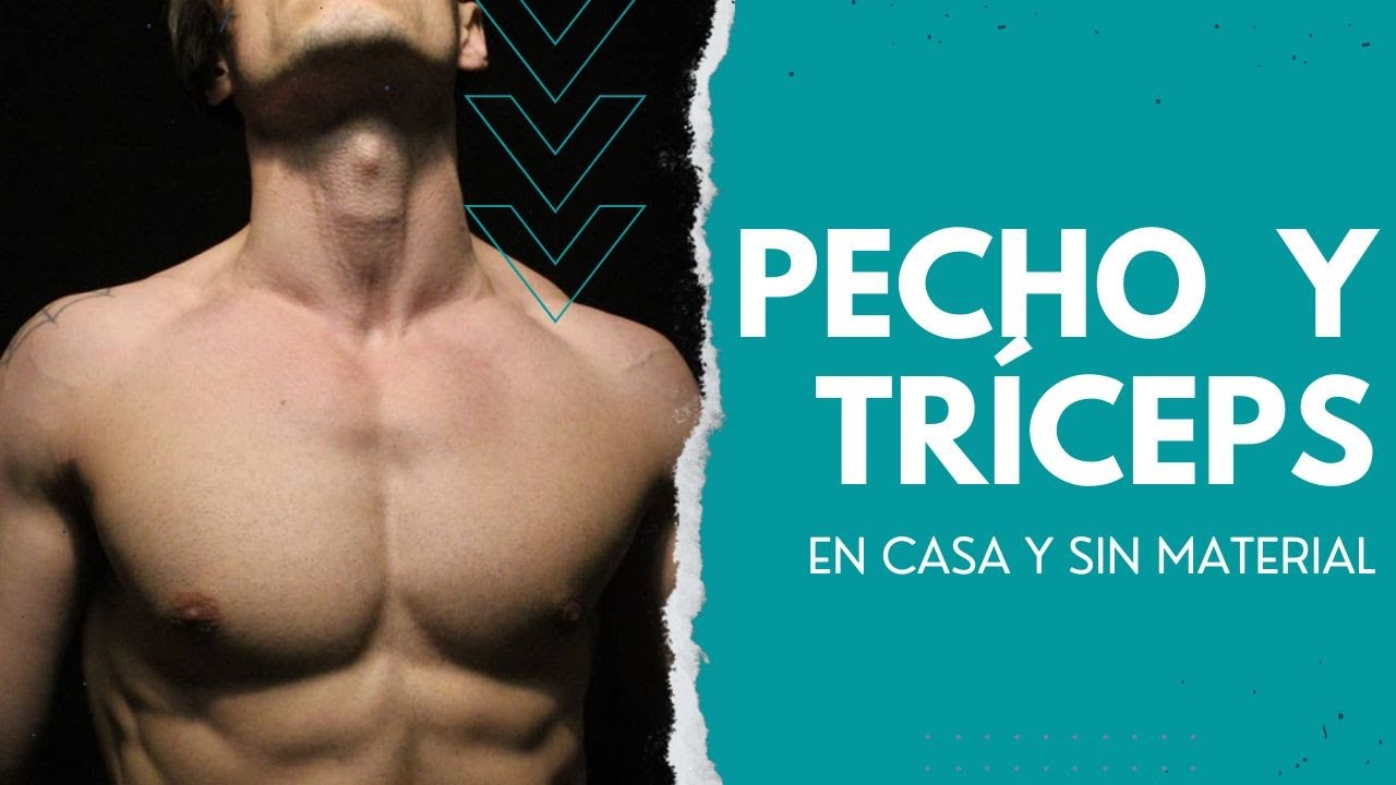 RUTINA DE PECHO Y TRICEPS EN CASA SIN MATRIAL - Rutina pectorales y ...
