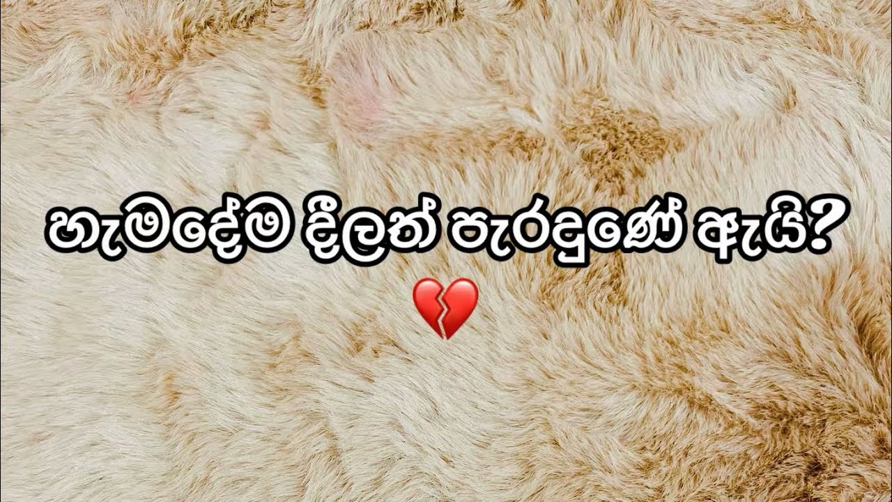 හැමදේම දීලත්  ආදරෙන් පැරදුණේ ඇයි? 💔 බලාපොරොත්තු නොවූ ඇත්ත මෙන්න.. 
