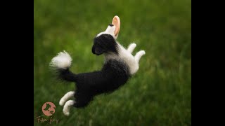 Border collie frisbee  #blackandwhite #filcowanie #zwełny #needlefelting