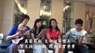 詩補135【真葡萄樹】初秋的饗宴 挨家挨戶相調 20120922