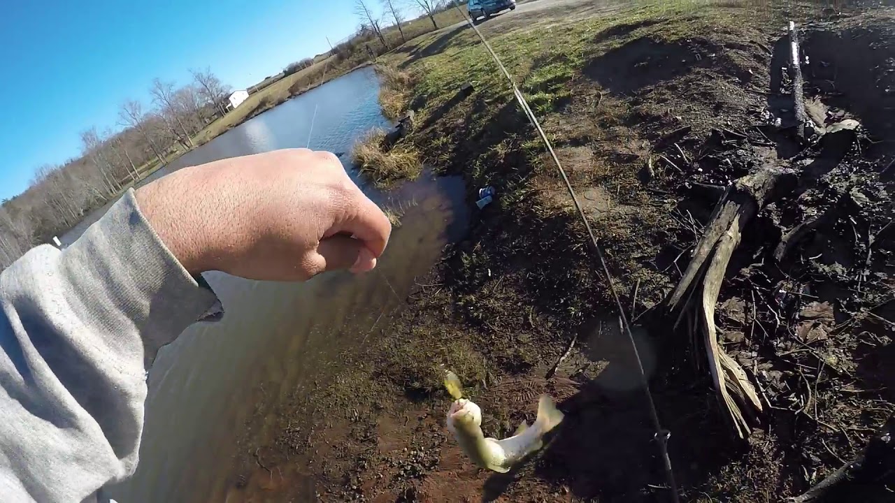 Trout Fishing with only a Rooster Tail YouTube