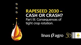 Rapeseed 2030 – cash or crash? PART III