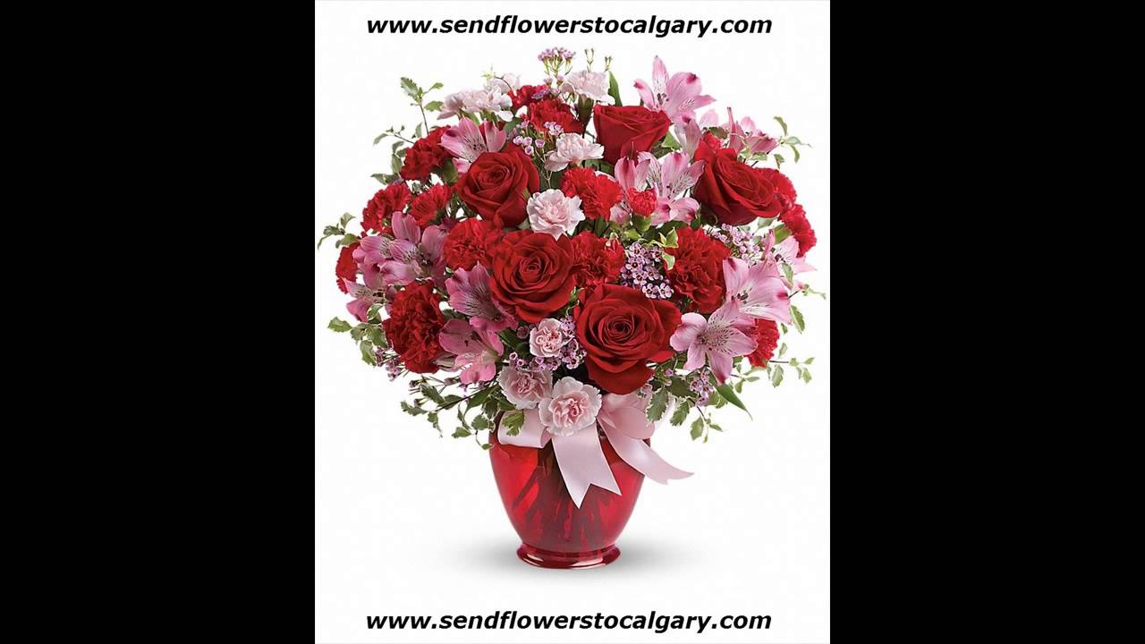 canada provincial flowers - YouTube