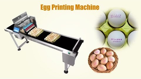 egg coding machine | egg printer | egg inkjet printer