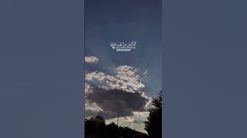 عبدالرحمن مسعد || ولئن سألتهم من نزل من السماء ماء قراءة هادئه من سورة العنكبوت#قرآن#المصحف #تلاوات