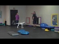 How To Train Your Dog To Stop Leash Pulling, Stop Barking, and Stop Jumping! How To Train Your Dog To Stop Leash Pulling, Stop Barking, and Stop Jumping!