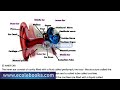 Biology form 3 topic of coordination part 1