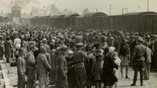Álbum de Auschwitz: las pruebas fotográficas del Holocausto
