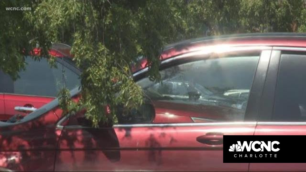 New efforts to prevent hot car deaths | Seeking Solutions