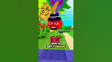 HOW TO GET TOMADE TORELLI in Plants vs Brainrots🍅#roblox #plantsvsbrainrots