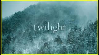 (instrumentals   rain ambience) a nostalgic twilight comfort playlist