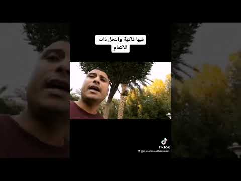 إعراب قوله تعالى فيها فاكهة والنخل ذات الأكمام