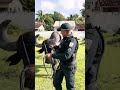 Vzor udržitelné dopravy? Na brazilském ostrově jezdí policisté na buvolech