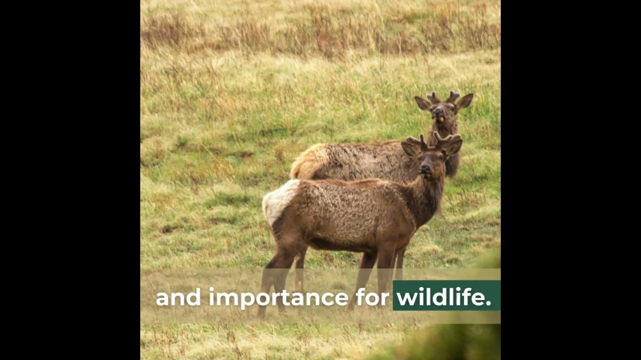 Conservation win for nothernn Colorado!