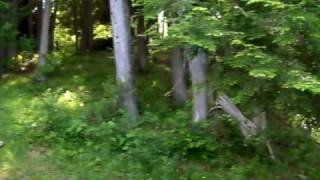 listing625.AVI