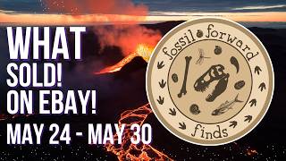 What Sold on eBay from May 24th through May 30th 2026 - All The Small Sales