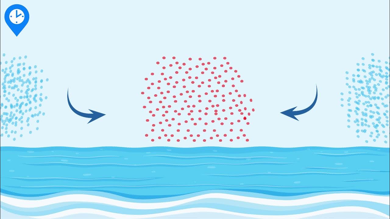 How Are Hurricanes Formed? YouTube