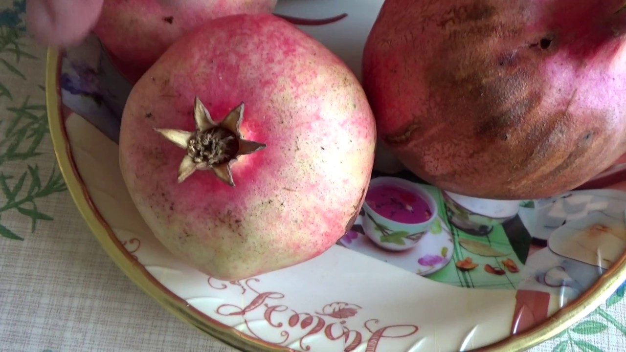 Гранатовый сок.Как правильно выбирать, выжимать и употреблять - YouTube