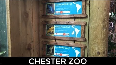 Mixed Species Dart Frog Controversy -  Explanation, Criticism and Evidence