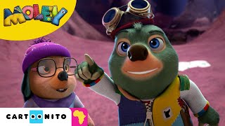 Moley The Hidden Treasure Cartoonito Africa