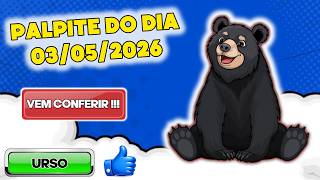 PALPITE DO DIA 03/05/2026 - Confira os NÚMEROS! 🍀