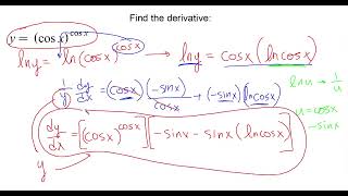 Logarithmic Differentiation Homework Walkthrough