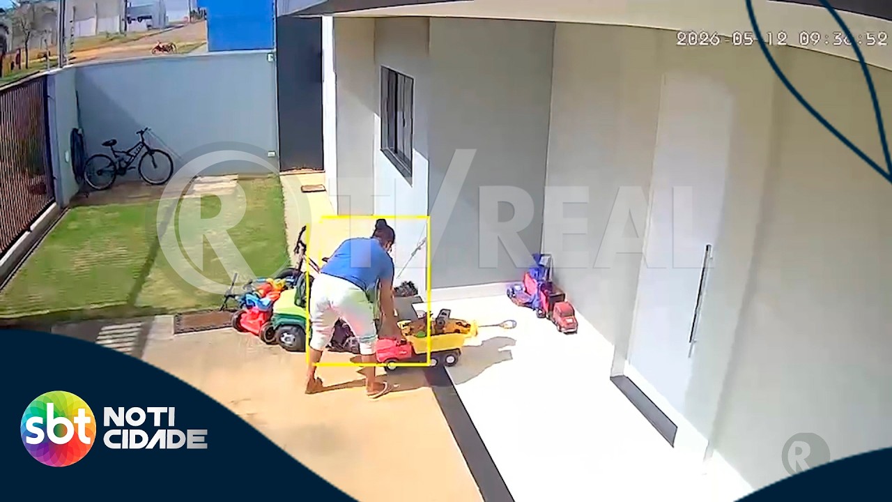 Cobra em casa! Tv Real acompanha captura de cascavel em meio a brinquedos.