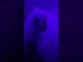 Azizov   Error Official Music Video #melodicclubmix #studyandfocus