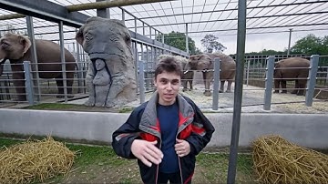Me at the zoo but it