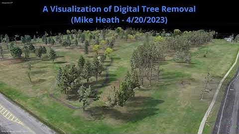Digital Tree Removal from a Drone Captured 3D model