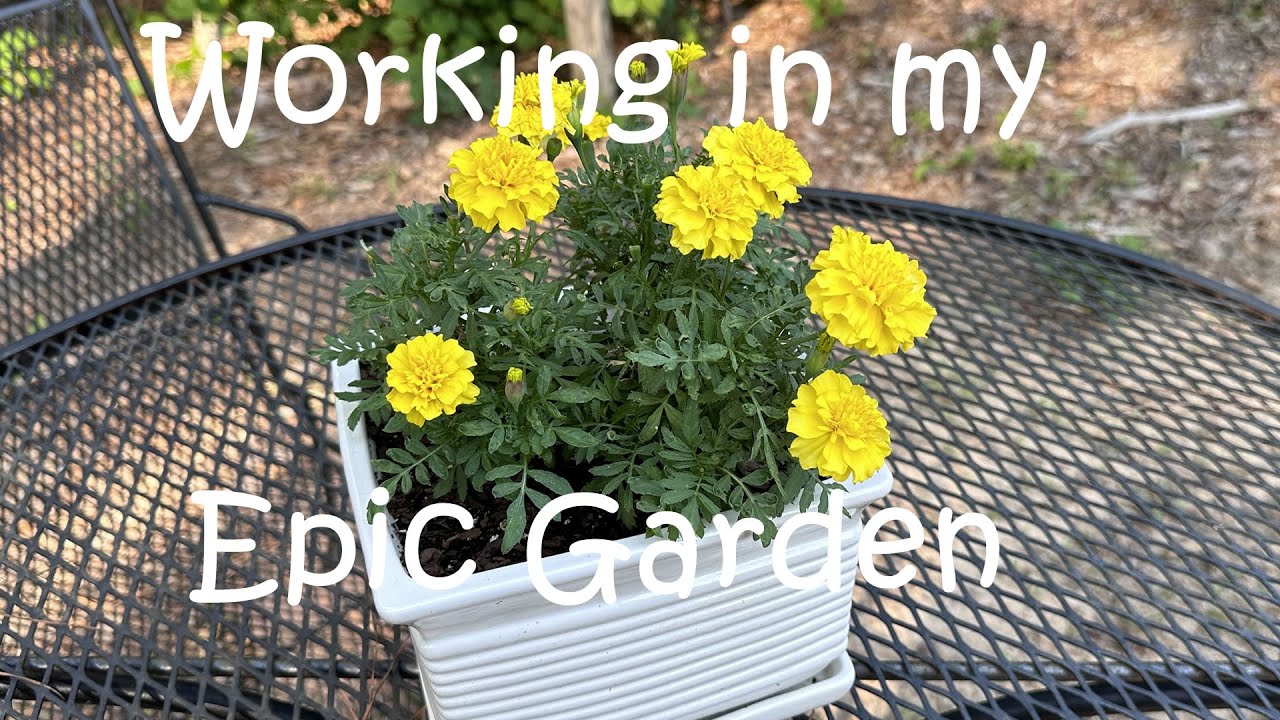 Working in my Epic Garden YouTube