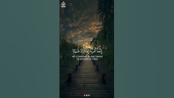 اكتب شيء تؤجر عليه #تلاوة_خاشعة للقارئ #ماهر_المعيقلي #quran #قرآن