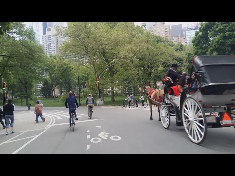 Vídeo: 12 Melhores Ciclovias Para Explorar Nova York - Matador Network