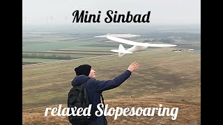 Mini Sinbad Glider - 3D-Printed
