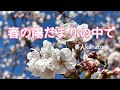 「春の陽だまりの中で」