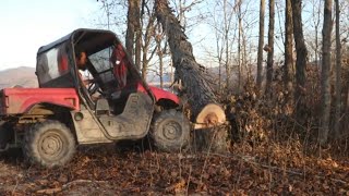 ATV vs Tree