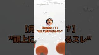 頭の上に謎の数字が出るスレ#shorts