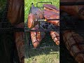 #fishing #рыбалка #отдых #шашлык