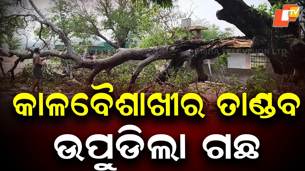 Kalbaishakhi Havoc: Trees Uprooted, Stage Damaged in Baripada–Udala
