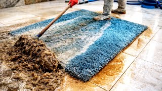 Insanely Satisfying Rug Scraping ASMR | Extreme Dirt Removal You’ve Never Seen