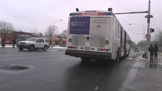 SEPTA Route 55: 2000 Neoplan AN460 #7249