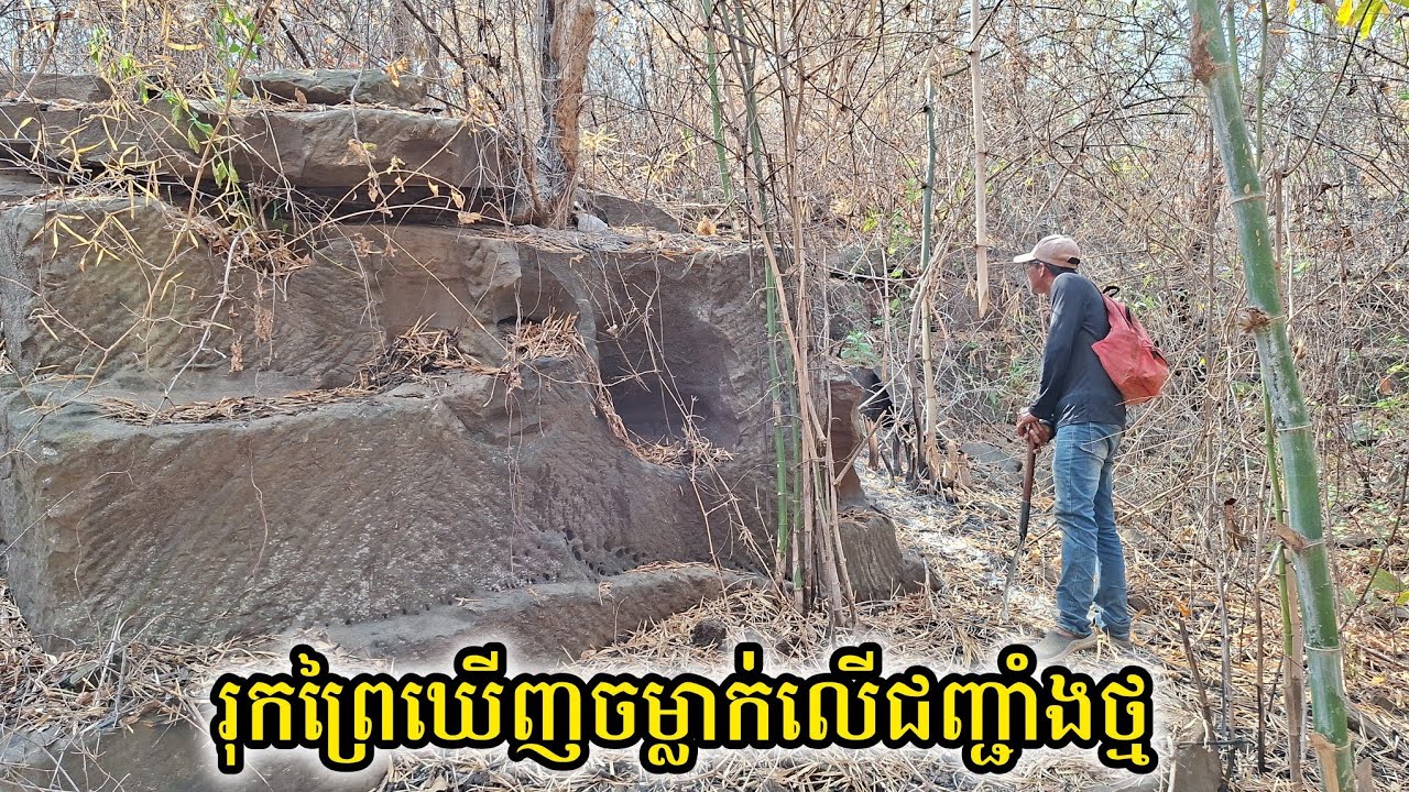 រុកព្រៃប្រទះឃើញចម្លាក់លើជញ្ជាំងថ្មភក់ | Find carvings in the bamboo bushes