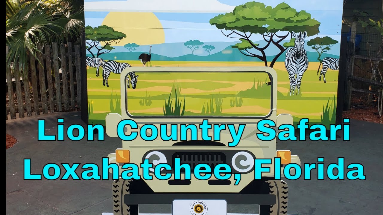 Lion Country Safari 2022 YouTube