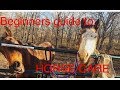 BASIC HORSE CARE 101 - FOR BEGINNERS