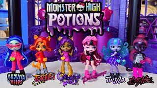 (Adult Collector) Monster High Potions Series 2