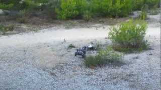 Saut Jeep Rubicon Savage X 4.1Cc Vs Savage Flux