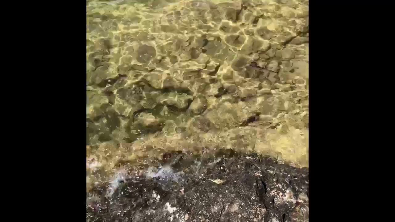 Logix Baits Sinister Craw Swim Test